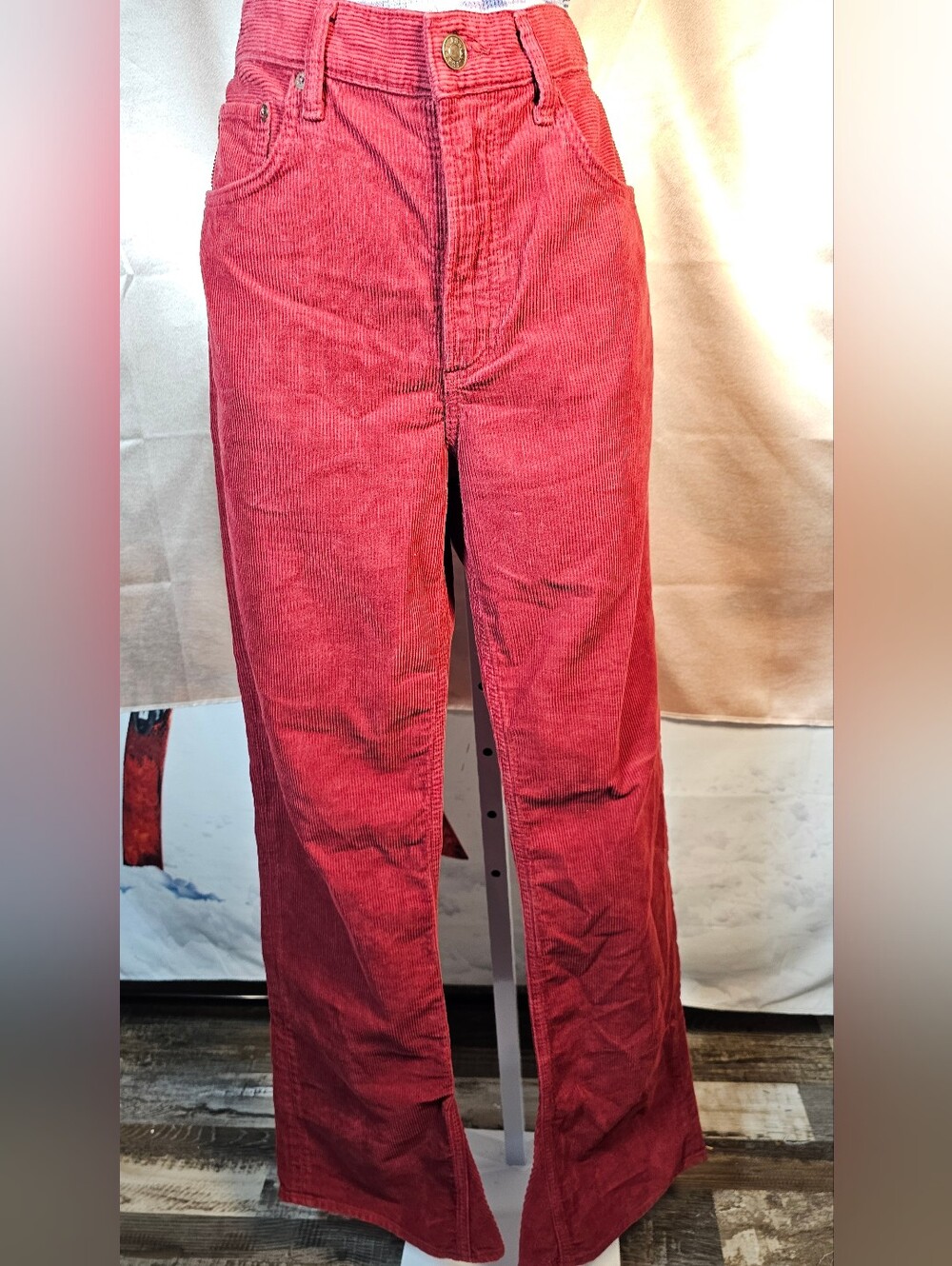 AGOLDE Kick Boot Mid Rise Corduroy Bootcut Pants 27 Brick NWT